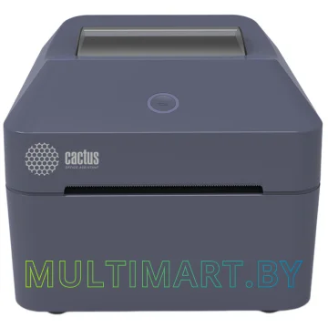 Термопринтер Cactus CS-TP-D430UB